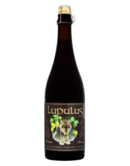 6 Birra Lupulus Brune