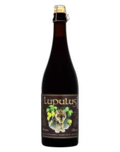 6 Birra Lupulus Brune
