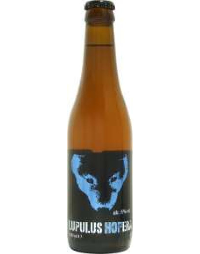 24 Birra Lupulus Hopera 0,33 l