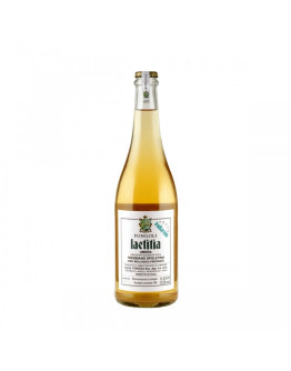 Laetitia Bullarum Bio igp Trebbiano