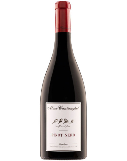 6 Pinot Nero doc 2024