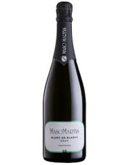 Trento doc Blanc de Blancs Brut Bio