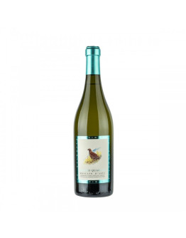 Moscato Bianco Quaglia D'Asti DOP