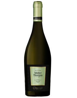 6 Muller Thurgau Frizzante "Vigneti Delle Dolomiti"