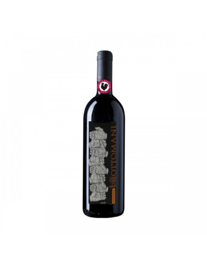 Chianti Classico Riserva docg