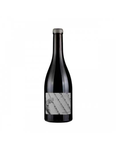 Toscana Bianco Igt Anfora