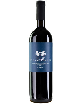 Plovac Ploski 2015