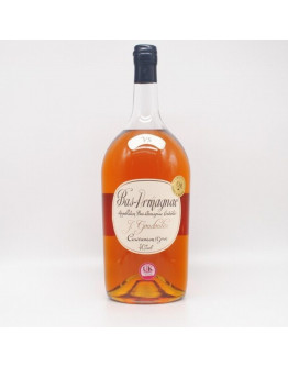 Bas Armagnac Veuve Goudoulin 2003 Pot Gascon 2,5 l