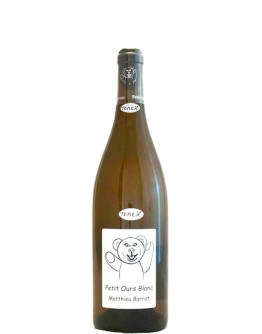 Petit Ours Blanc