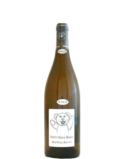 Petit Ours Blanc