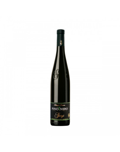 Pinot Nero Frizzante doc