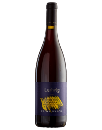 Pinot Nero 2019 - Ludwig
