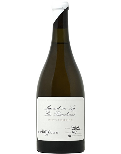 Coteaux Champenois Mareuil sur Aÿ 2019 Magnum - Les Blanchiens