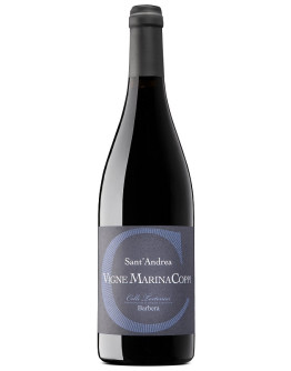 6 Sant'Andrea Colli Torinesi Barbera doc 2022