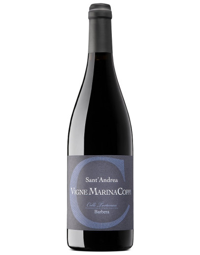 6 Sant'Andrea Colli Torinesi Barbera doc 2022
