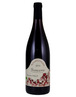 Sancerre Rouge Raudonas 