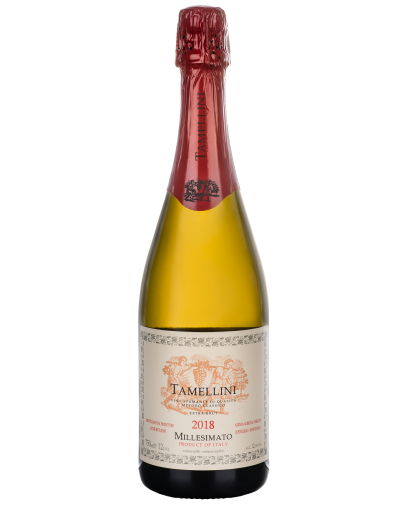 6 Extra Brut Metodo Classico 