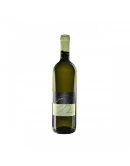Sauvignon igt