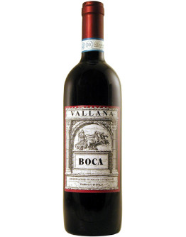 Boca doc 2018