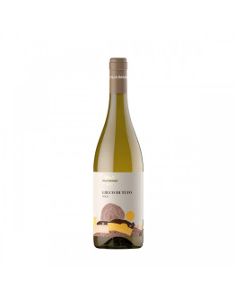 Greco Di Tufo docg