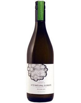 6 Riesling igt 2019
