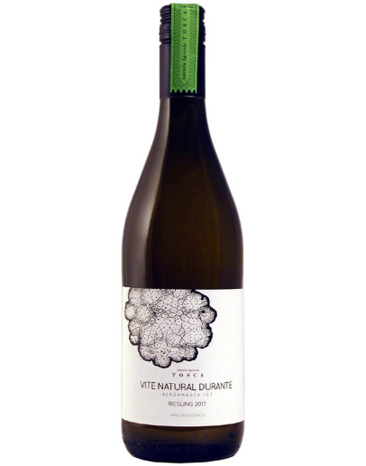 6 Riesling igt 2019