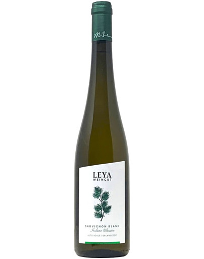 Sauvignon Blanc Terlano Classico doc 2024