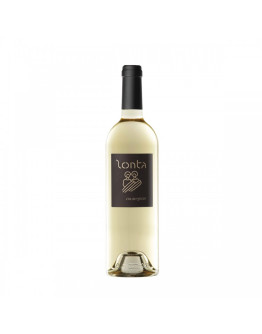 Sauvignon Breganze doc