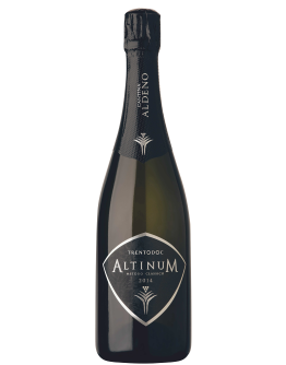 Aldeno Altinum Trento Doc