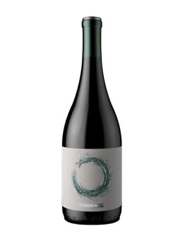 Syrah 2022 - Azuda