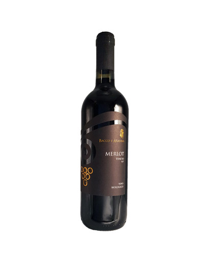 6 Merlot Bio doc Colli Euganei