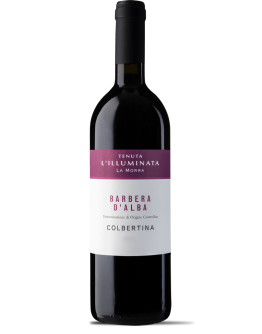 Barbera D'Alba Colbertina 2019