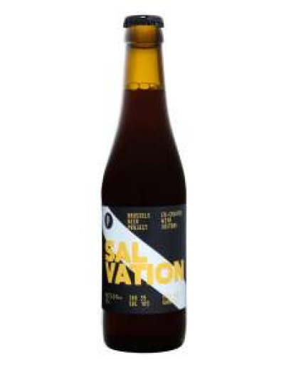 24 Birra Beer Project Salvation Dark 0,33 l