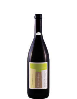 T-Friulano Borc Sandrigo