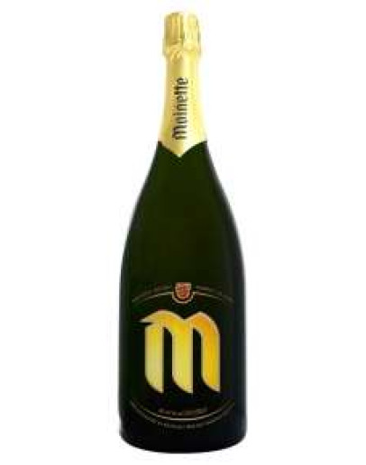 Birra Dupont Moinette Blonde Magnum