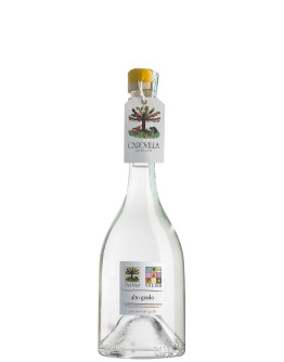 Grappa Capovilla Moscato Giallo