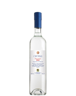 Grappa Capovilla Pinot Noir Billecart