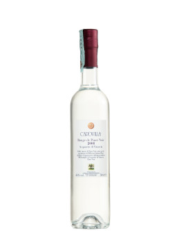 Grappa Capovilla Rouge Pinot Noir 2008