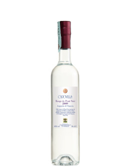 Grappa Capovilla Rouge Pinot Noir 2009