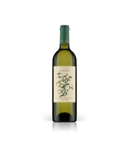 Viognier igp 2018