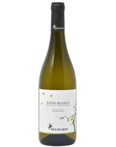 6 Esino Bianco D.O.C