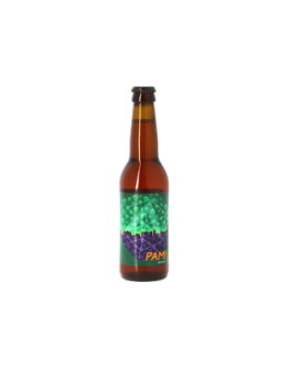 24 Birra Artium Pam Pale Ale
