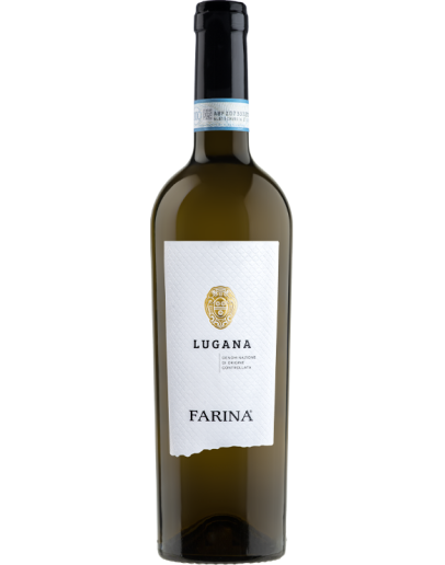 6 Lugana doc 2019