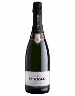 12 Ferrari Brut 0,375 l
