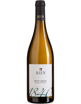 6 Pinot Grigio D.O.C