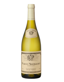 Puligny Montrachet 2019