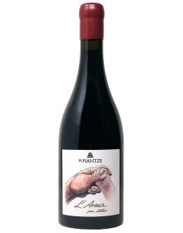 Syrah doc 2023 - L'Avenir ... pour Mathieu