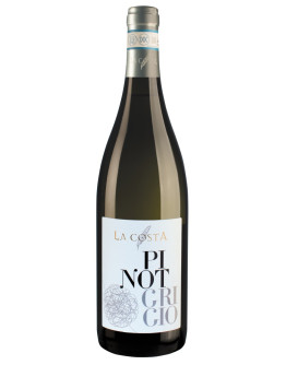 6 Pinot Grigio doc 2019