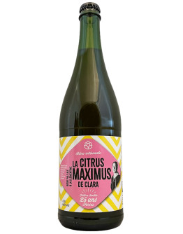 12 Birra Thiriez La Citrus Maximus