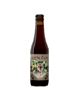 24 Birra Lupulus Brune 0,33 l